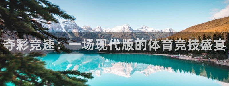 鲸鱼体育后来改成什么名字了：夺彩竞速：一场现代版的体育竞技盛宴