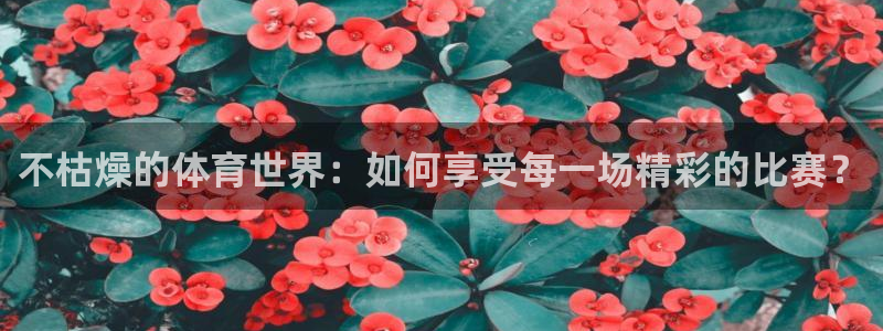 鲸鱼体育免费观看：不枯燥的体育世界：如何享受每一场精彩的比赛？