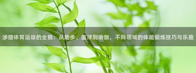 鲸鱼体育半仙：涉猎体育运动的全貌：从跑步、篮球到瑜伽，不同领域的体能锻炼技巧与乐趣