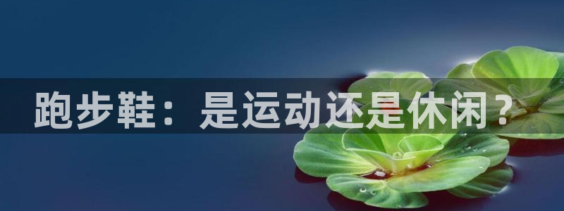 鲸鱼体育一体育比分：跑步鞋：是运动还是休闲？