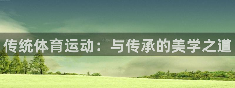 鲸鱼体育篮球：传统体育运动：与传承的美学之道