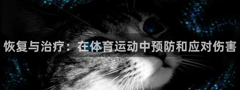 鲸鱼体育旧版：恢复与治疗：在体育运动中预防和应对伤害