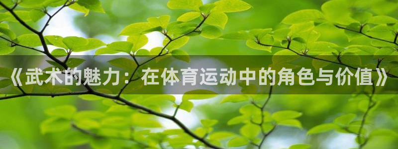 鲸鱼体育旧版：《武术的魅力：在体育运动中的角色与价值》