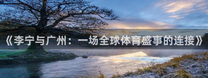 鲸鱼体育还能用吗?：《李宁与广州：一场全球体育盛事的连接》